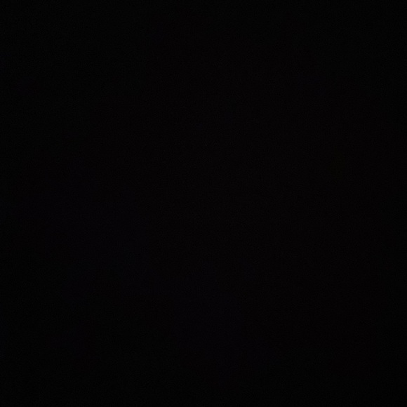 Meet your Posher, Ruby - Picture 1 of 1